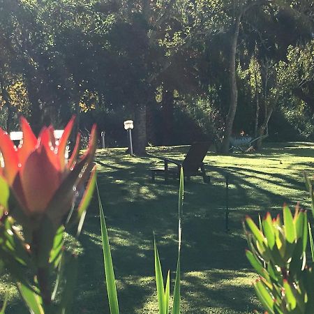 Constantia Spring Bed & Breakfast ภายนอก รูปภาพ