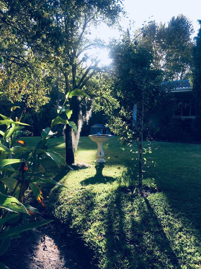 Constantia Spring Bed & Breakfast ภายนอก รูปภาพ