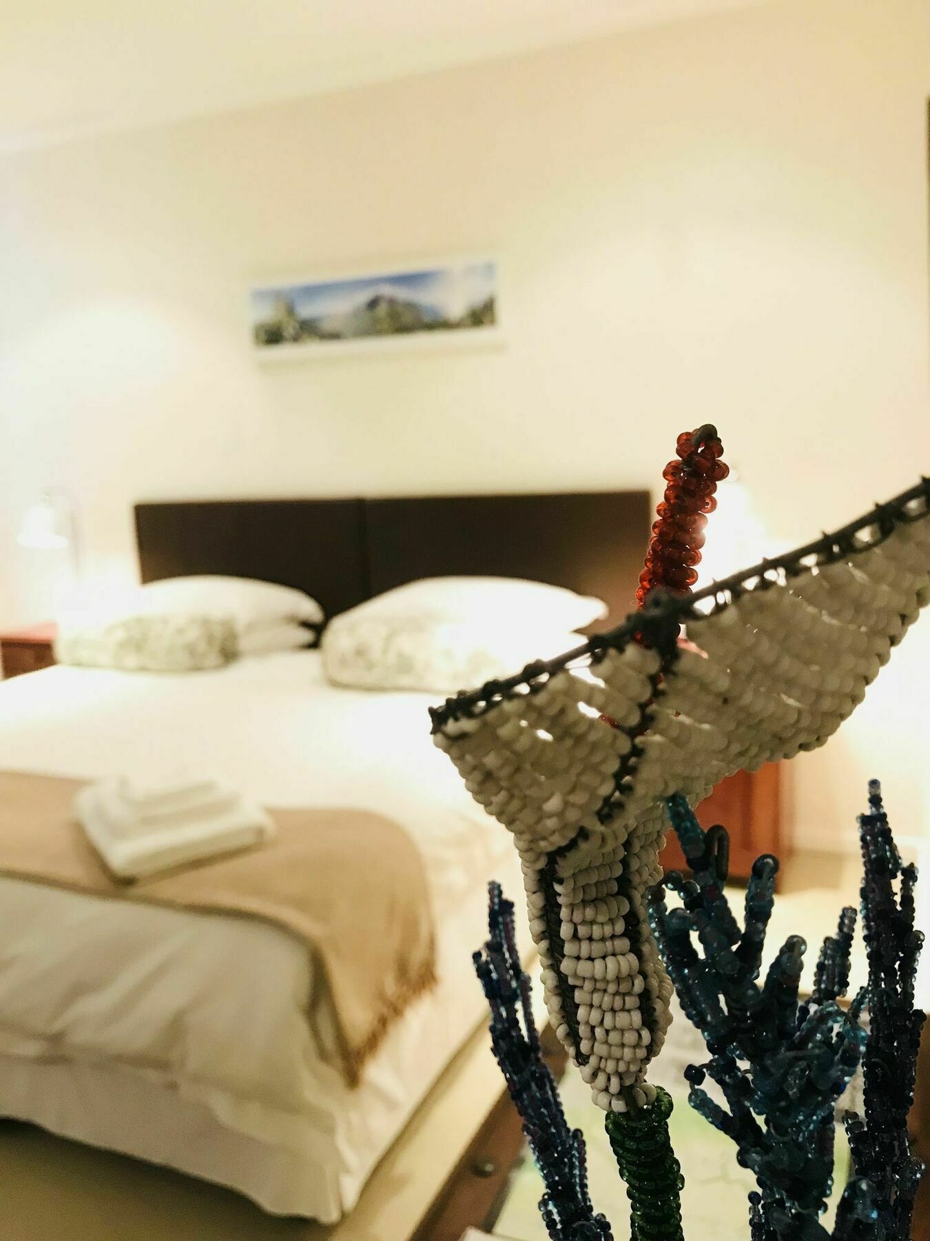 Constantia Spring Bed & Breakfast ภายนอก รูปภาพ