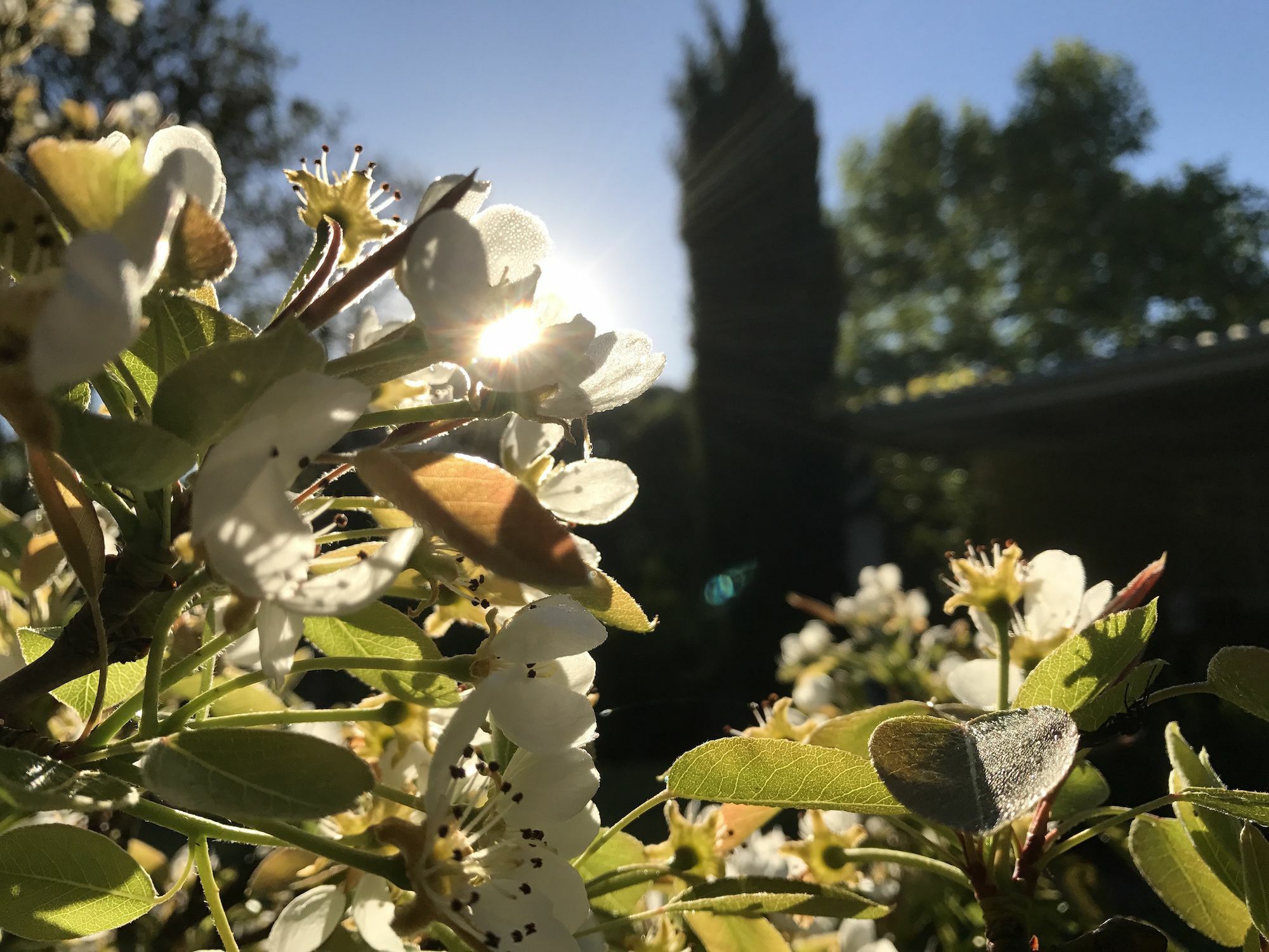 Constantia Spring Bed & Breakfast ภายนอก รูปภาพ