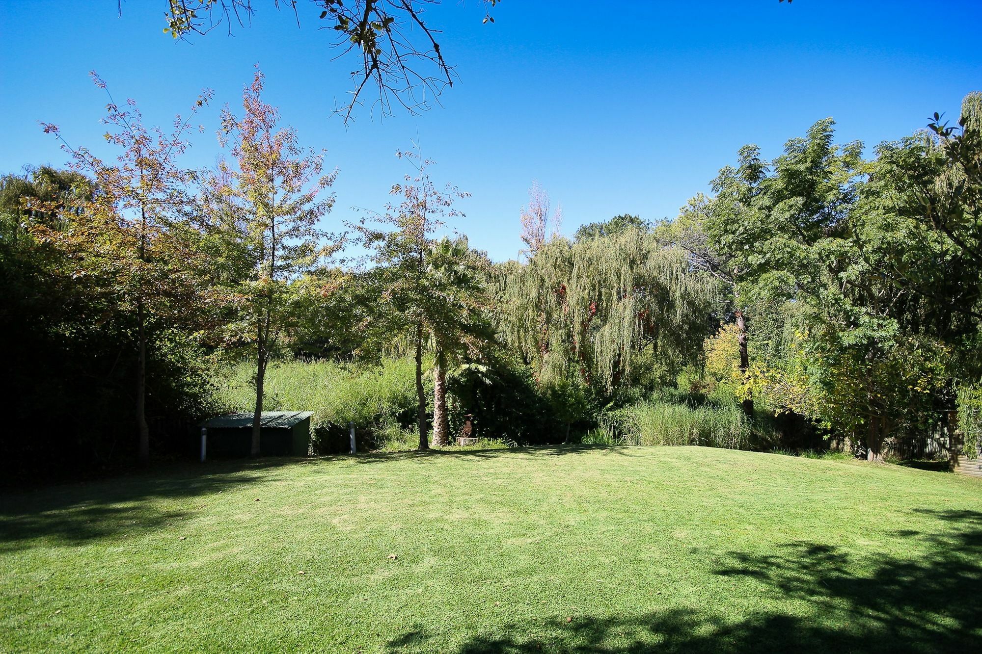 Constantia Spring Bed & Breakfast ภายนอก รูปภาพ
