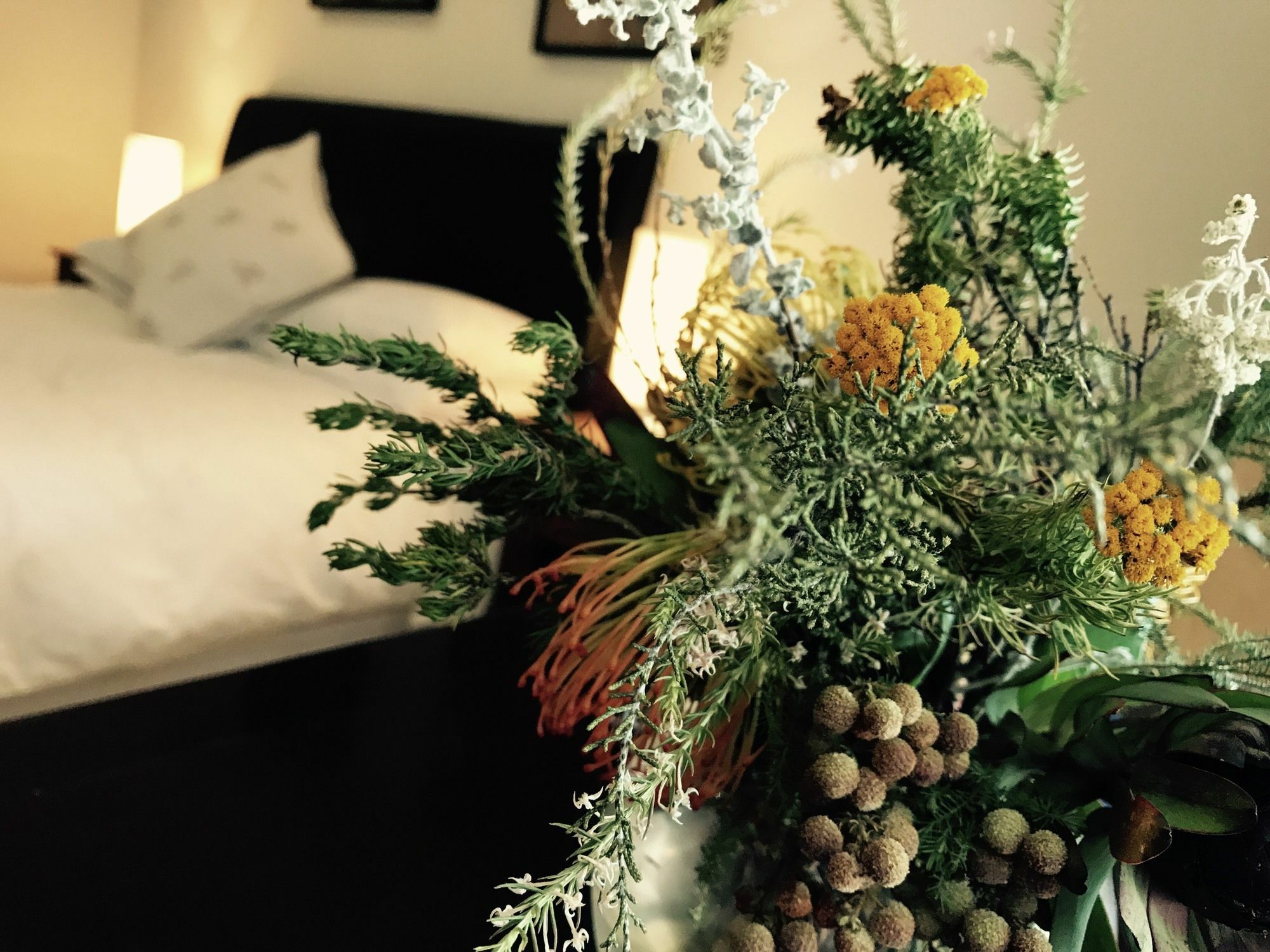 Constantia Spring Bed & Breakfast ภายนอก รูปภาพ